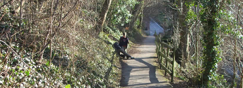Photo of wooded path, Ludlow 2007