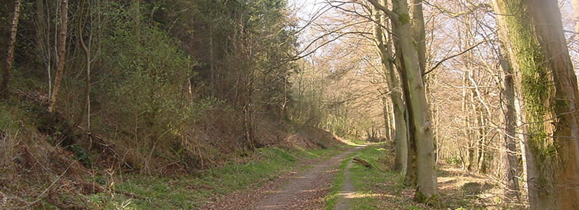 Photo of Bury Ditches, Shropshire 2003
