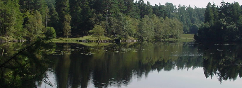 Photo of lake, Lake District 2000