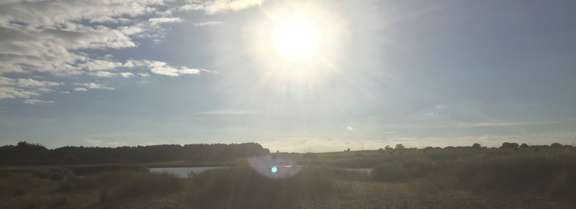 Photo of evening sun at Covehithe, 2016